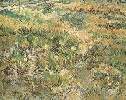 Vincent Van Gogh Meadow in the Garden of Saint-Paul Hospital (nn04) oil on canvas